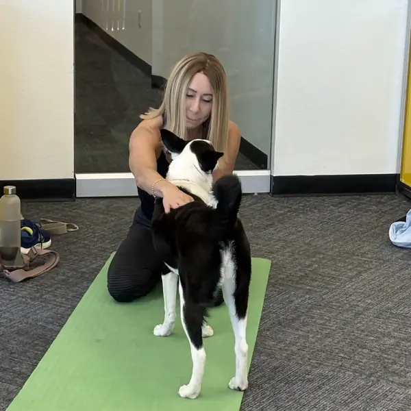 Puppies greeting guests during yoga at K9 Rox Club